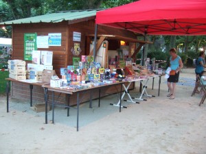 Animation jeux en bois géants - Festi'vals 2013-3